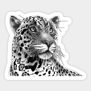 Jaguar Sticker